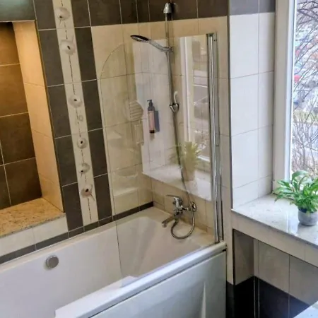 Sirul Livezii Flat - Free Parking Brasov