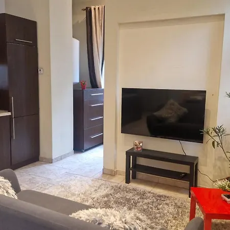 Apartment Sirul Livezii Flat - Free Parking