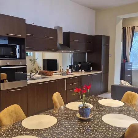 Apartment Sirul Livezii Flat - Free Parking Brasov